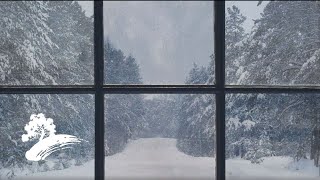 David Arkenstone &amp; Charlee Brooks - Winter Fantasy [Christmas Visualizer]