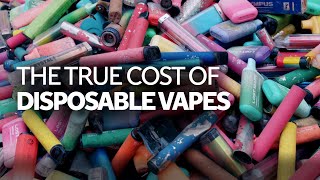 The true cost of disposable vapes | On the Ground