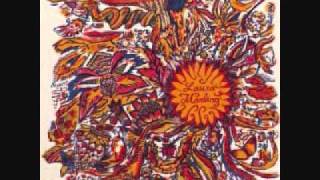 Shine- Laura Marling (Cover)