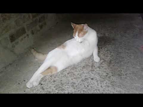 22 de agosto de 2019