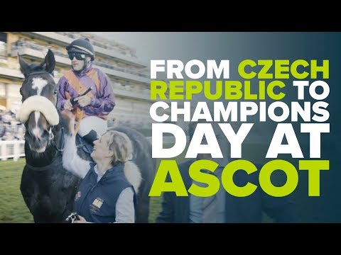 THE CZECH CHAMP | Subway Dancer's Champion Stakes Journey