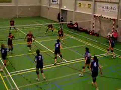 DOS D1 - BSVO D1 deel 1