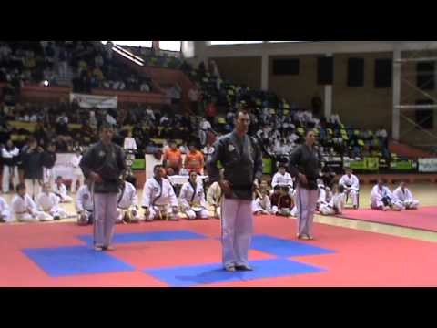 DEMONSTRATIE SEISHI BUDO ARAD LA CUPA BANZAI 2013