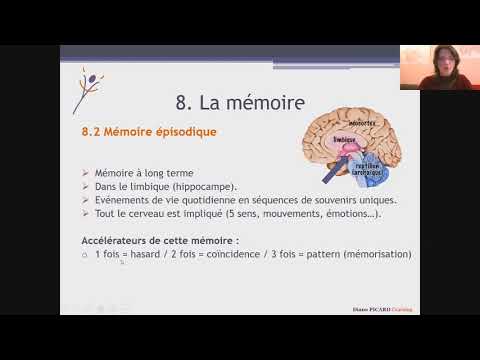 Les potentiels cachés du cerveau - 8 : La mémoire