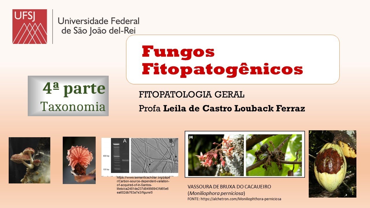FUNGOS Taxonomia 4a parte (Fitopatologia UFSJ)