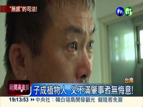 子被撞癱判6個月? 胡椒蝦創始人怨