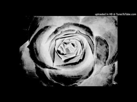 Pabe electric vibes - psilocybe sounds