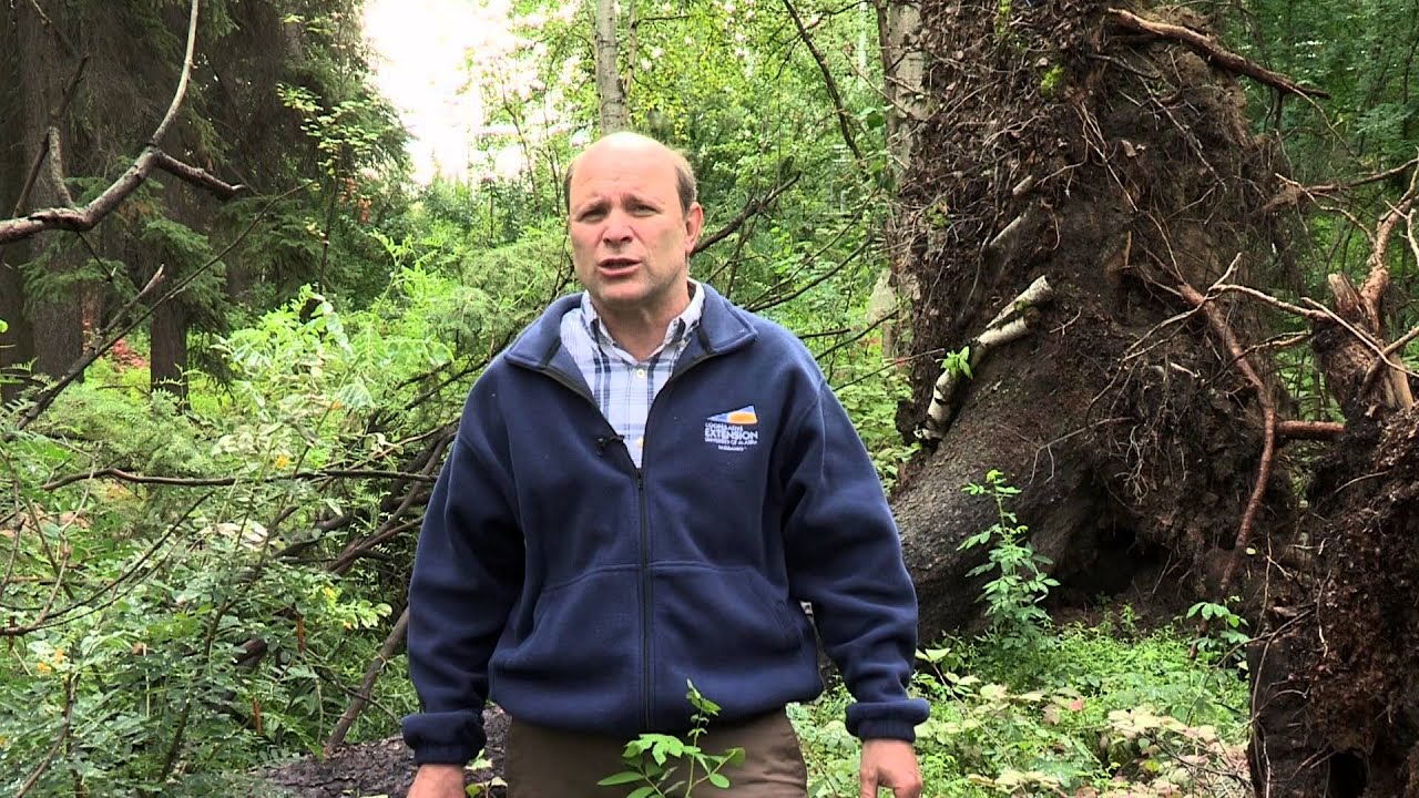 Preparing for Extreme Weather Events with Art Nash