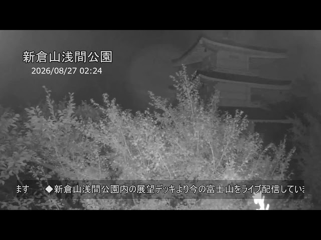 新倉山 浅間公園の忠霊塔と富士山