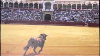 Invitado de lujo aspirante a becerrista