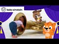 My First Orchestra New Classics Baby Einstein Learning Show For Toddlers Kids Cartoons