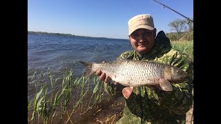 Ссылка