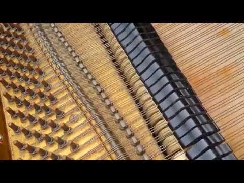 Dag 253 - De Buitenpianist van Cultuurschip Thor: 4 mei