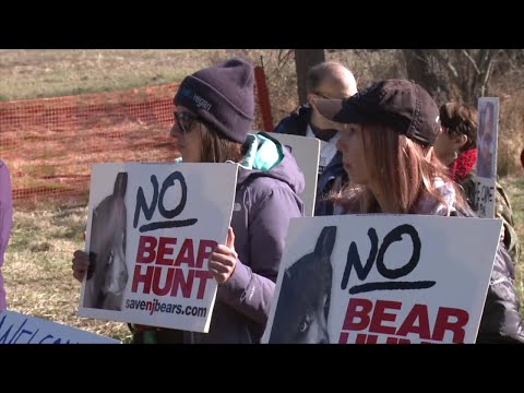 NJ Black Bear Hunt