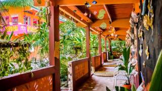 preview picture of video 'Coco Plum Eco Lodge - Caribbean Panama Network'