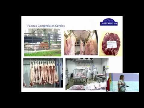 , title : 'Modelo de Producción y Comercialización de Carne de Ternero y Cerdo Natural'