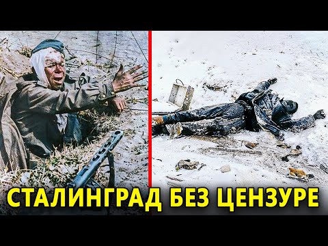 STALJINGRAD BEZ CENZURE | Dan Kada Je Hitlerova Vojska Pala | Dokumentar U PUNOM KOLORU