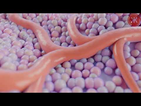 Our Theory: How FGF-1 Could Treat Parkinson's Disease