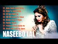 NASEEBO LAL | Top 10 Sad Songs Of Naseebo Lal | Naseebo Lal Sad Song rai production mix song nirmal