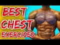Best CHEST Exercises with DUMBBELLS and BENCH (optional) | Build MUSCLE MASS and STRENGTH