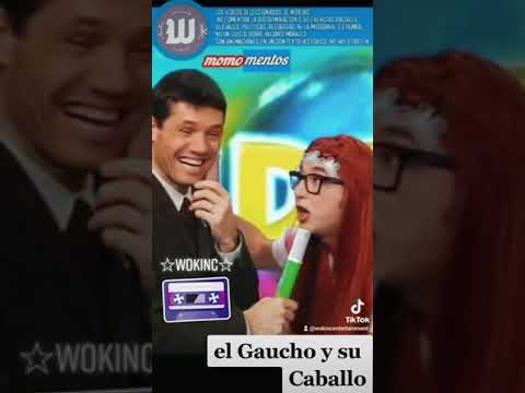 el gaucho y el caballo - Rogelio (VideoMatch)