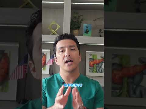 Is Protein in Your Urine Dangerous? | Early Kidney Damage Signs