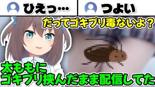 意外と虫が平気なまつりちゃん【ホロライブ切り抜き/夏色まつり】