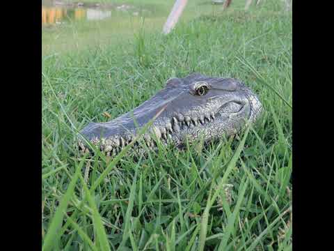 Flytec V005 2.4G Electric RC Boat Simulation Crocodile Head Vehicles RTR Model Toy