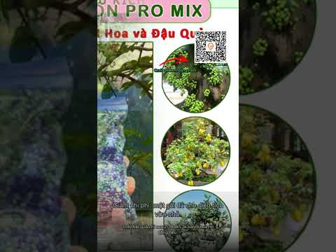 Phân dinh dưỡng Promix 200g - Ra sai hoa, sai quả, lá xanh, rễ cành mạnh, 40.000₫