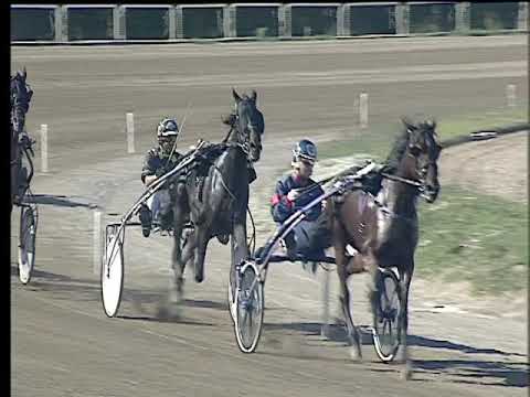 Trotto 15/10/2017 - 1ª corsa