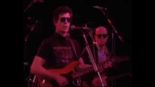 Lou Reed ~ I Love You Suzanne 1984 (OGWT)