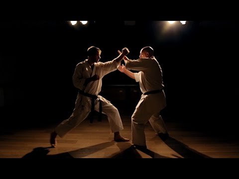 Adaptive Karate - Attack & Defence