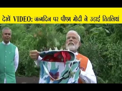 देखें VIDEO: जन्मदिन पर पीएम मोदी ने उड़ाई तितलियां देखें VIDEO: जन्मदिन पर पीएम मोदी ने उड़ाई तितलियां