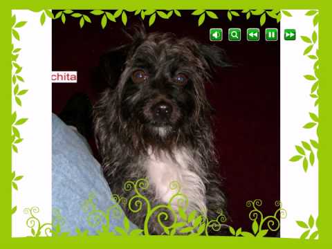 Celia Cruz - A Lo Loco