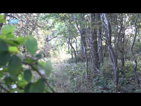 Rundt i Historien - Fønsskov og Gamborg Fjord