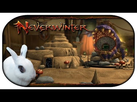 NEVERWINTER: Paladin-LP 🐇 42 - Tage des Spielleiters