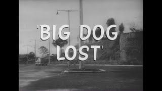 Big Dog Lost aka Lauta mancia (1957) Trailer