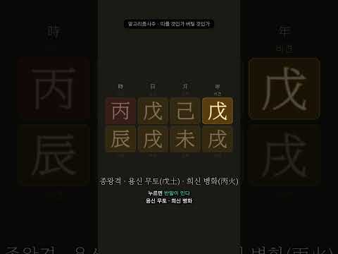 너무 강해서 따르는 사주, 너무 약해서 따르는 사주 | 알고리즘으로 푸는 사주 7