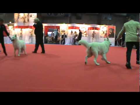 COPA CONFRATERNIDAD Mejor Macho 2010