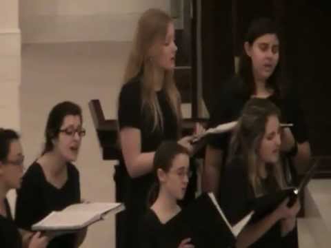 Tulerunt Dominum Meum