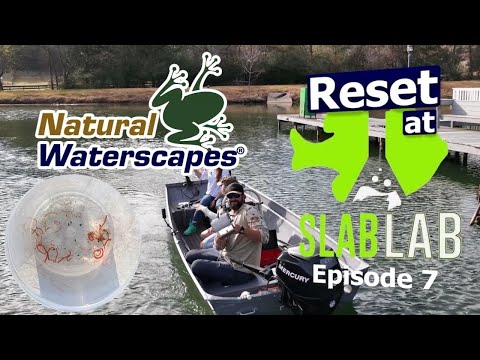 Life Returns to the Mud | Invertebrate Recovery at the Slab Lab (Episode 7)