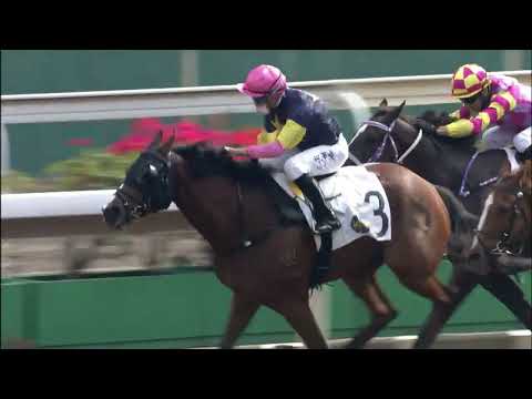 16/1/2022 (339) Apache Pass - Vincent Ho