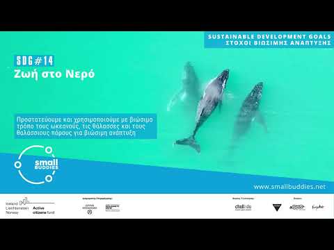 Small Buddies // 🎯 SDG#14 // Ζωή στο Nερό // (Sustainable Development Goals)