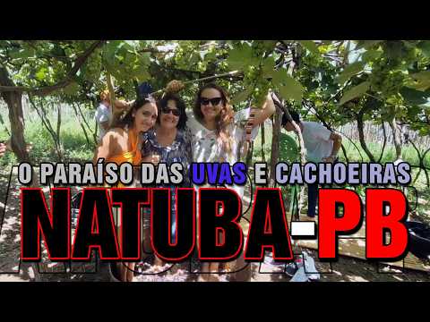 NATUBA PB - O Paraíso das Uvas e Cachoeiras
