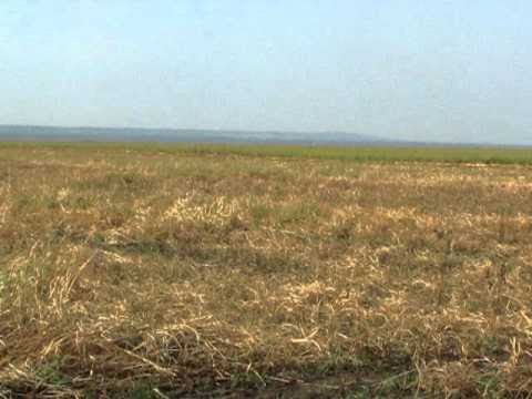 bistret,dolj romania-tumuli