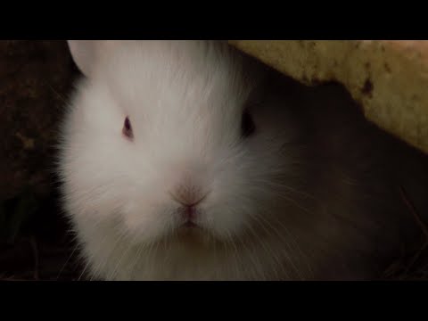 RPMC - Rally Virtual - 8a etapa - Argentina