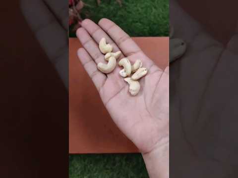 2 Ingredients Ice Cream #shorts #youtubeshorts