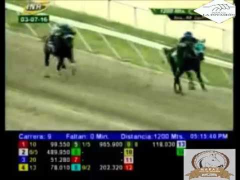 LA RINCONADA 9 CARRERA, DOMINGO 03 DE JULIO DEL 2016