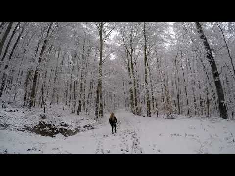 Winterwanderung im Taunus auf den großen Zacken