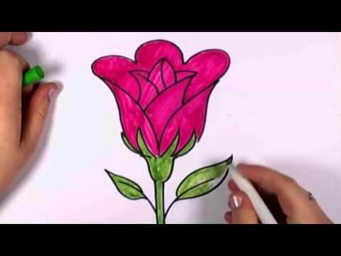 How to draw flowers - YouTube